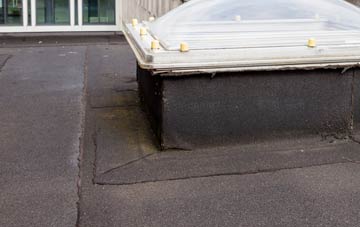 disadvantages of Sunbury Common flat roofs