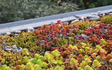 the cost of Sunbury Common green roof installation