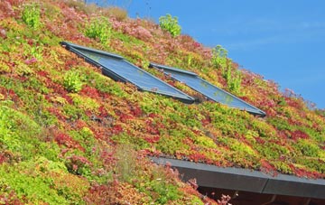 Sunbury Common living roof systems